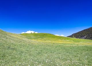 Le fameux papier-peint de Windows XP mais en France