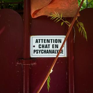 Écriteau `Attention chat en psychanalyse`