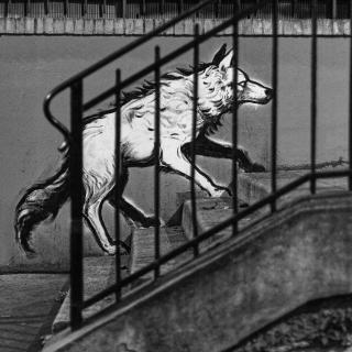 Graffiti d'un loup montant des escalier