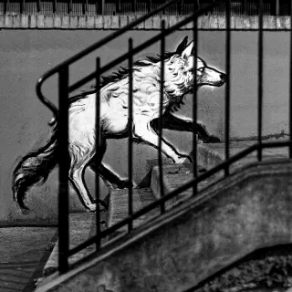 Graffiti d'un loup montant des escalier