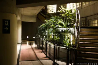 La végétation de la station Madeleine ligne 14