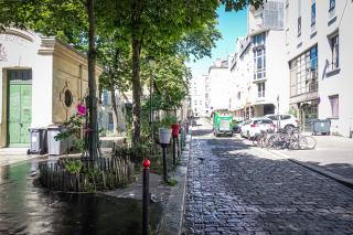 Rue parisienne typique avec des arbres et des plantations
