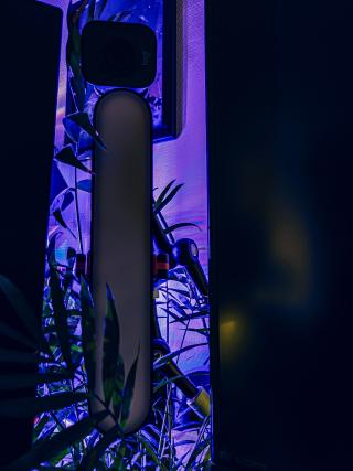Une webcam poser au dessus d'une lampe entre deux écrants
