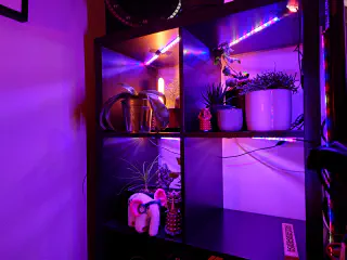 Meuble Ikea Kallax avec un bandeau de LED par case scotché en haut de chacune d'elles. Des plantes et des objets sont disposés dans chaque case.