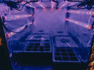 4 mini-greenhouses in a Ikea Kallax square lighted by LED strips