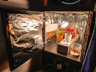 Étagère Kallax avec de l'aluminium partout, y compris sur la porte. Des plantes sont visibles à l'intérieur.