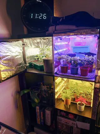 Vue d'ensemble du meuble Kallax avec 3 cases converties, et une en haut à gauche avec une porte