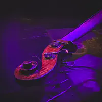 A closeup of the tip of the Eric Wheeler's double bass 