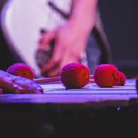 Vibraphone's mallets on the vibraphone